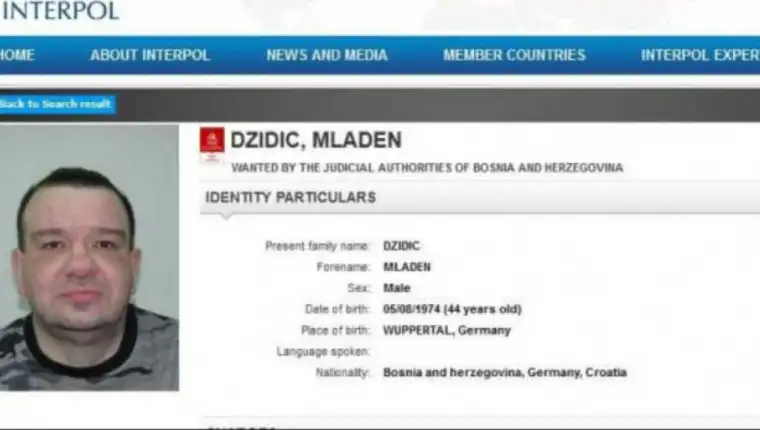 mladen dzidic
