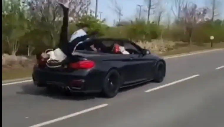 bmw mesreca 1