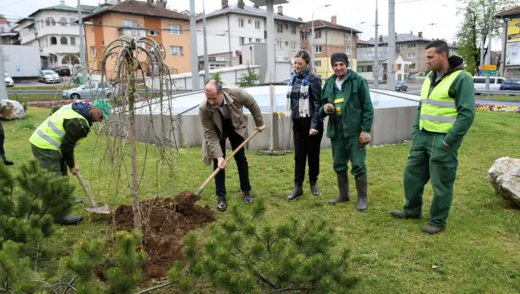 tanovic hrasno brdo