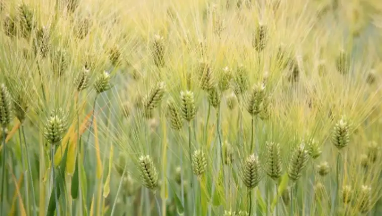 Screenshot_22