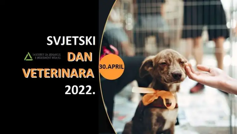 svjetski dan veterinara