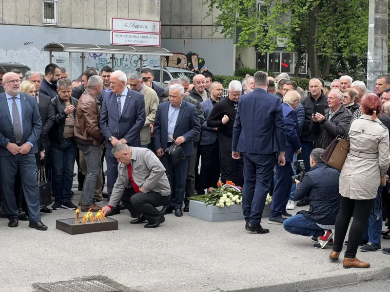 dobrovoljacka okupljanje delegacija rs