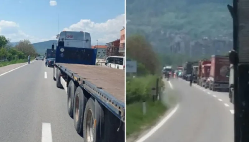 zenica blog