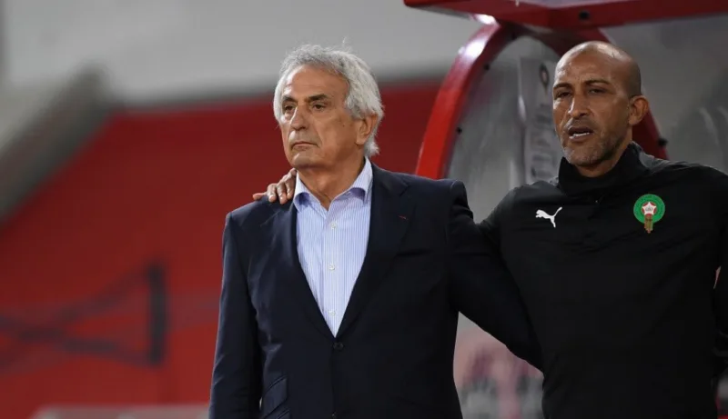 halilhodzic 43