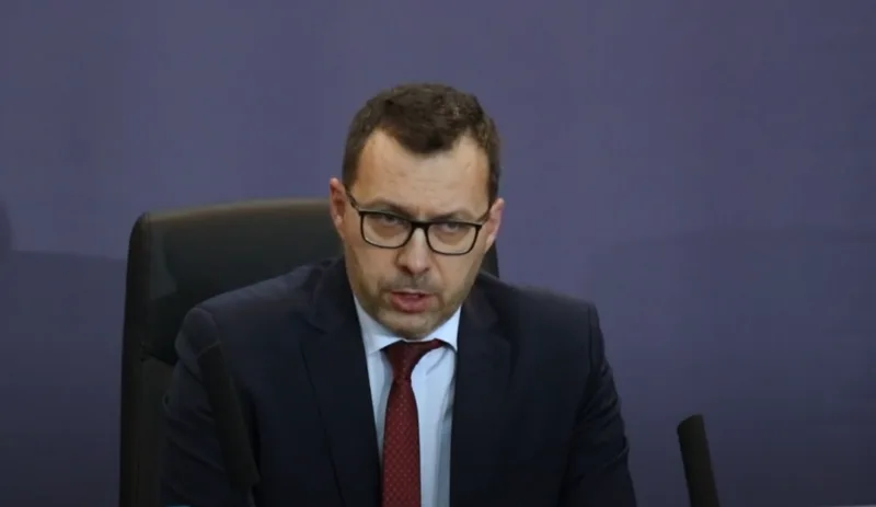 nermin dzindic