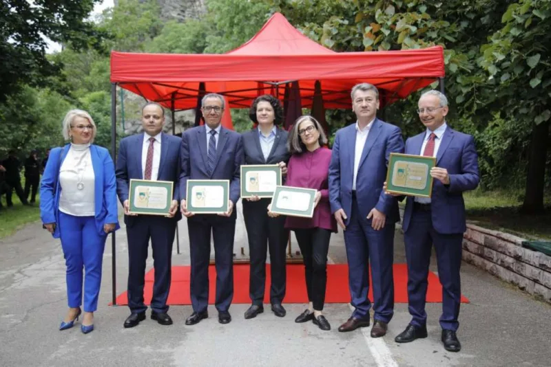 aleja ambasadora11