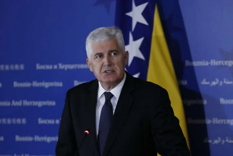 dragan covic fena