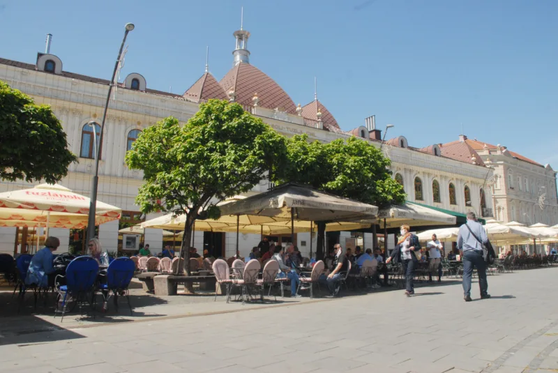 tuzla kafici