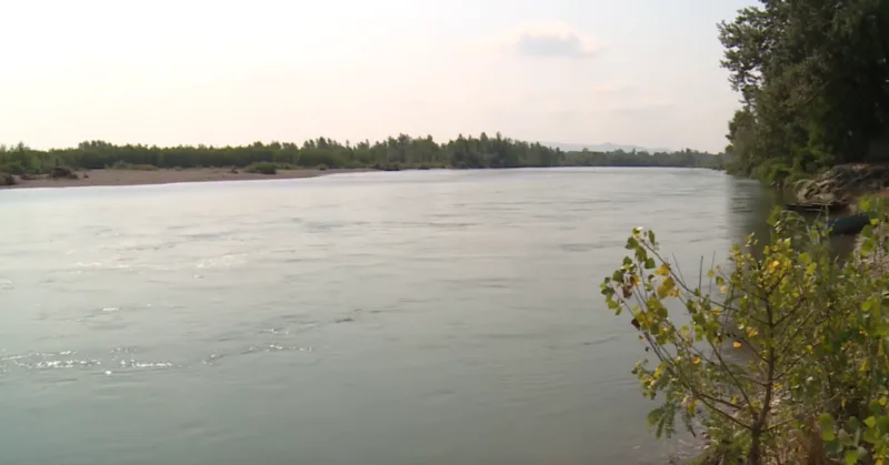 sava