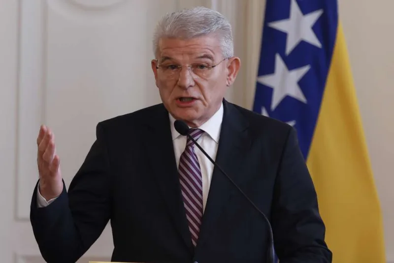 sefik dzaferovic pred fena