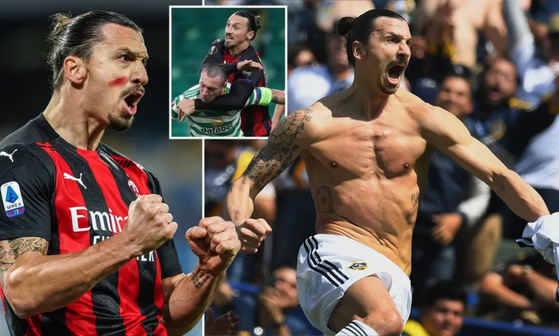 zlatan11