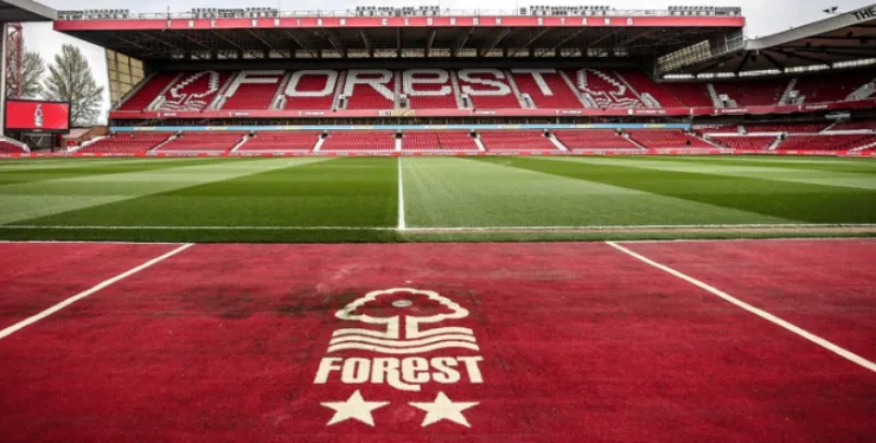not forest 1