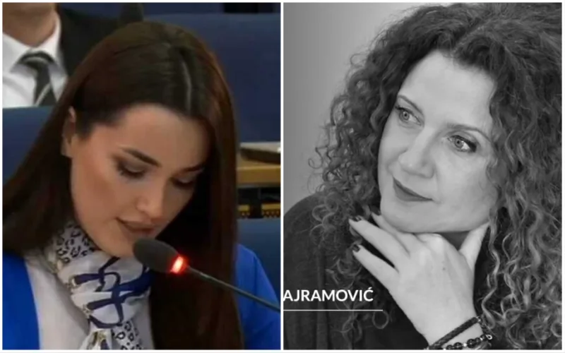 arijana memic segmedina