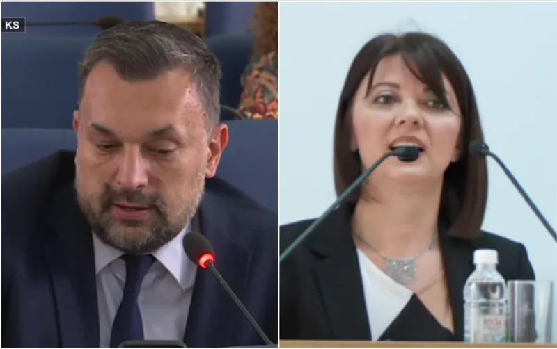 konakovic sarajlija