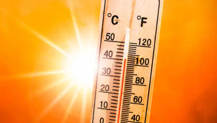 temperature 344