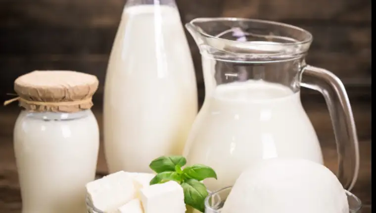 milk prtodutcs 1