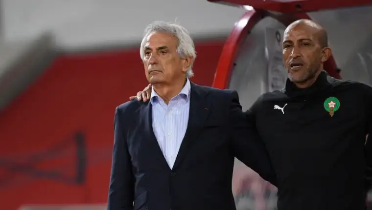 halilhodzic 43