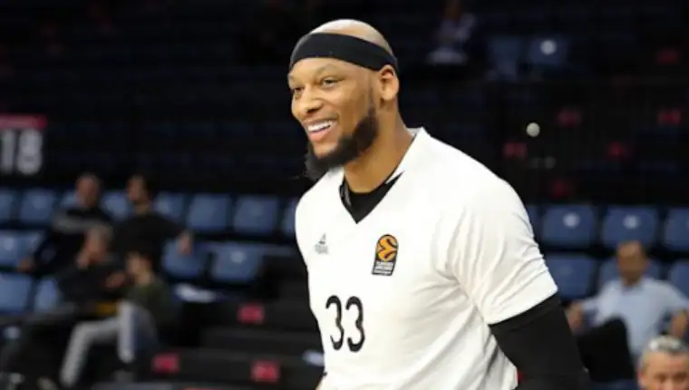 payne 36