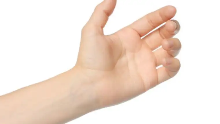 prsti 45