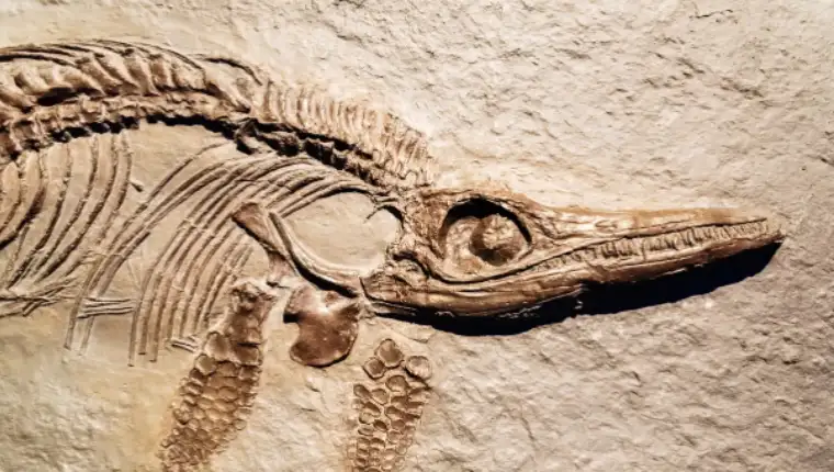 ihitosaur 2