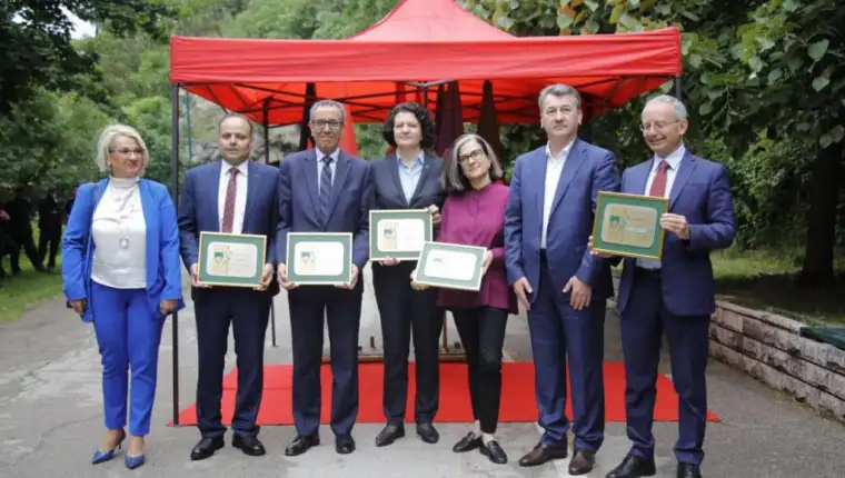 aleja ambasadora11