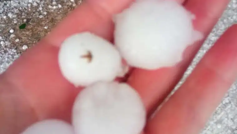 tuca nevrijeme 2