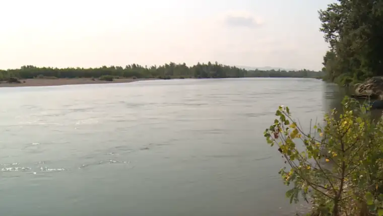 sava