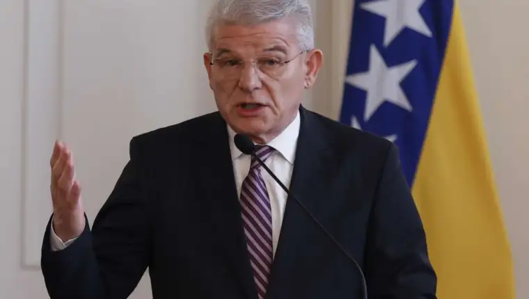 sefik dzaferovic pred fena