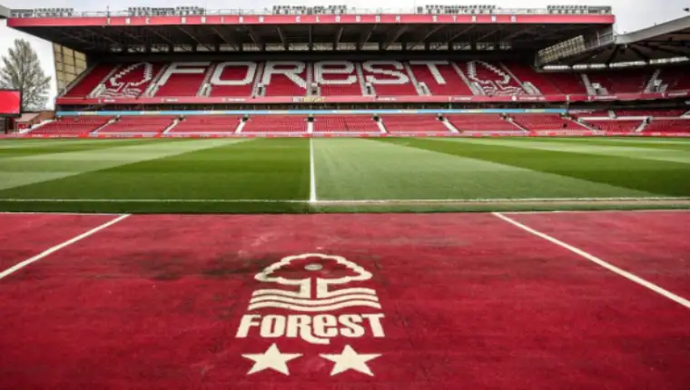 not forest 1