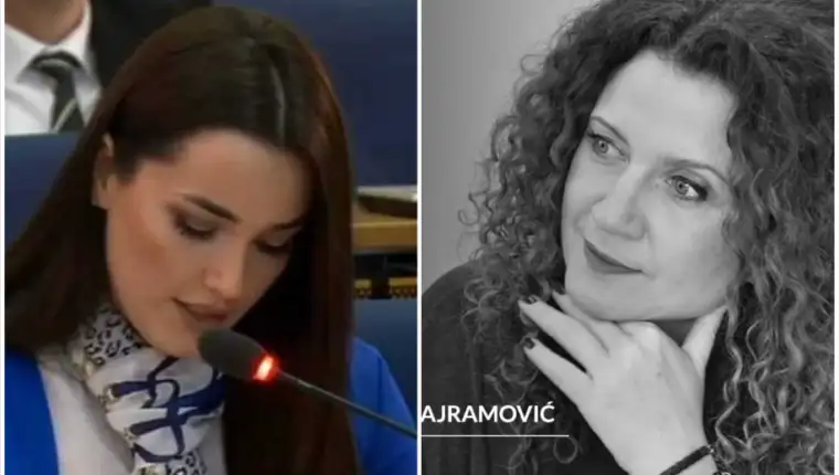 arijana memic segmedina