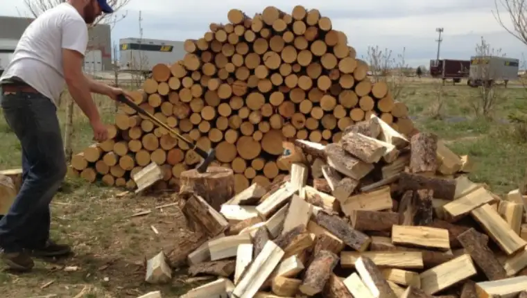 600_1472802421kupovina-drva