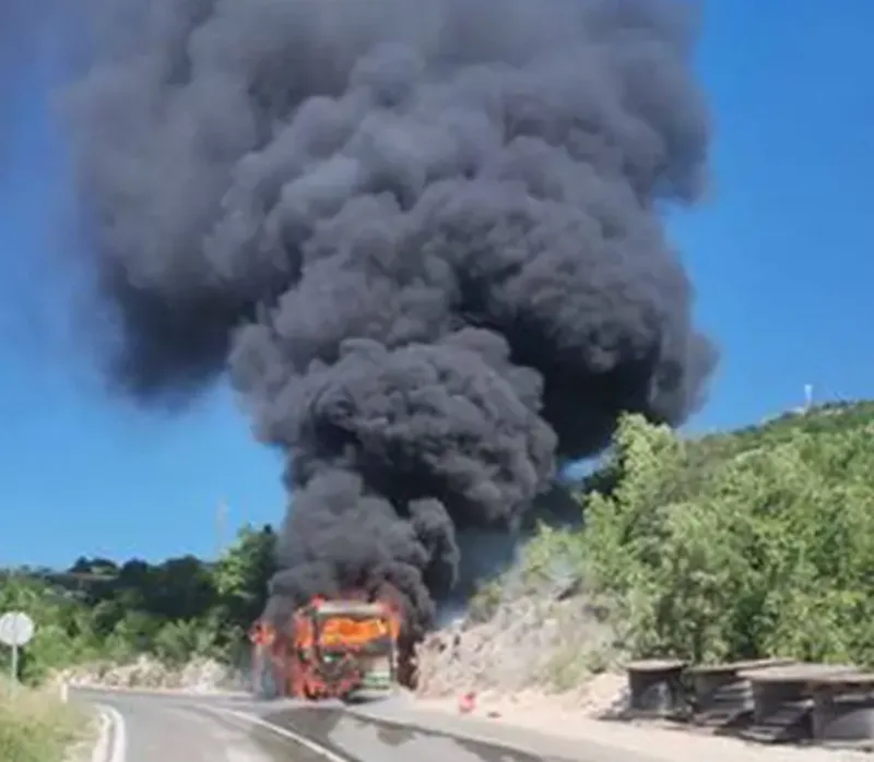 bus dalmacija