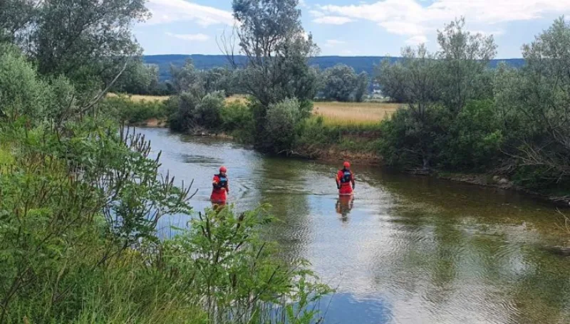 Screenshot_2