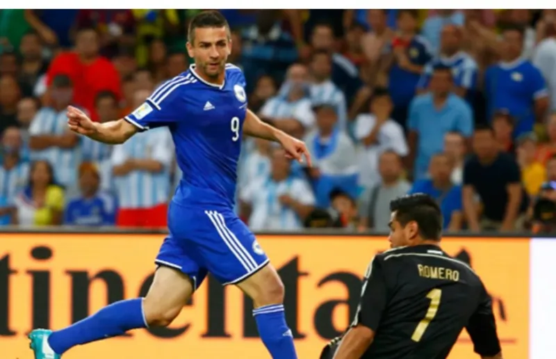 ibisevic 3