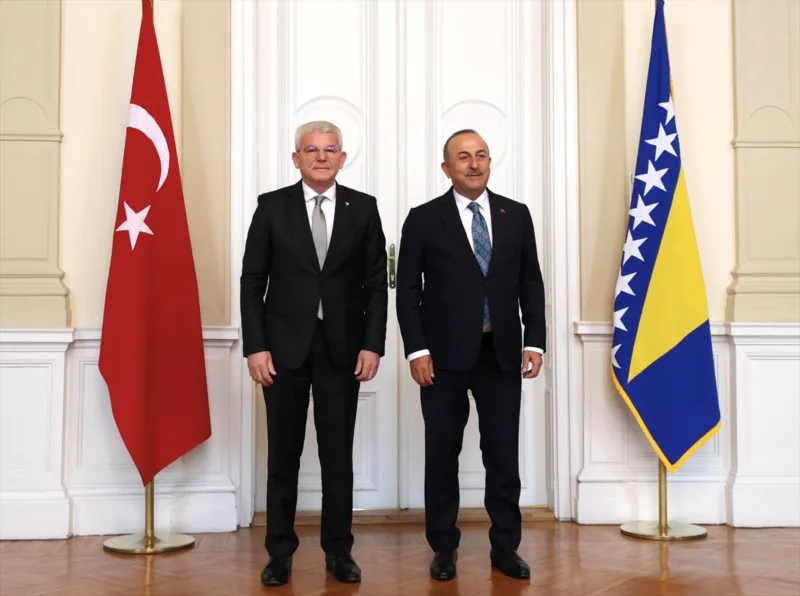 sefik cavusoglu