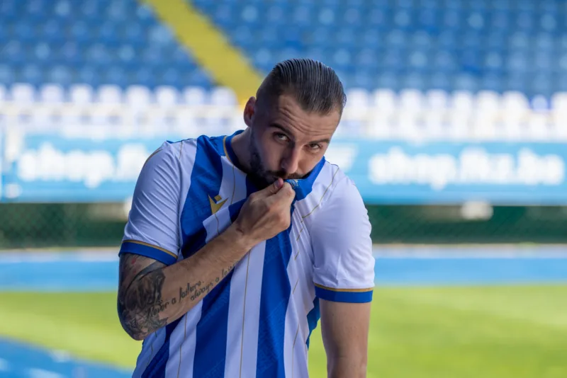 beganovic dzenis