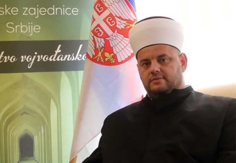 ziljkic vojvodina 1