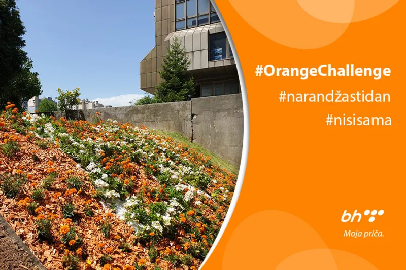 orange dan 900x600