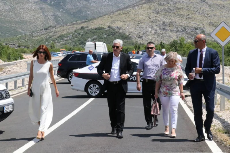 dragan covic borjana fena