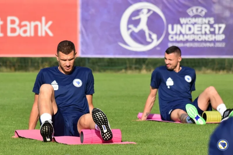 dzeko reprezentacija