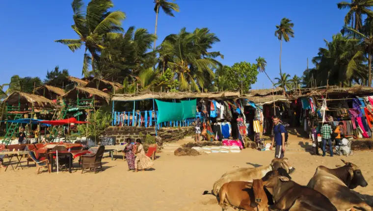 goa plaza