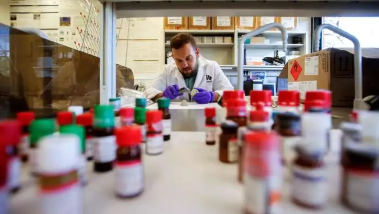 40th anniversary of the ban on the use of Dichlorodiphenyltrichloroethane (DDT) in Spain
