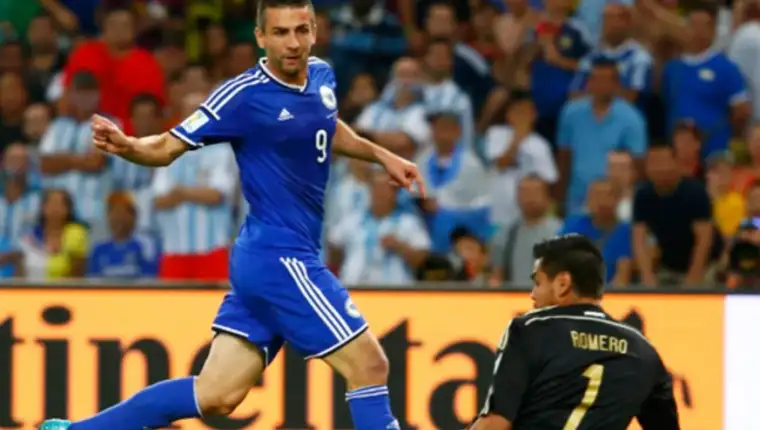 ibisevic 3