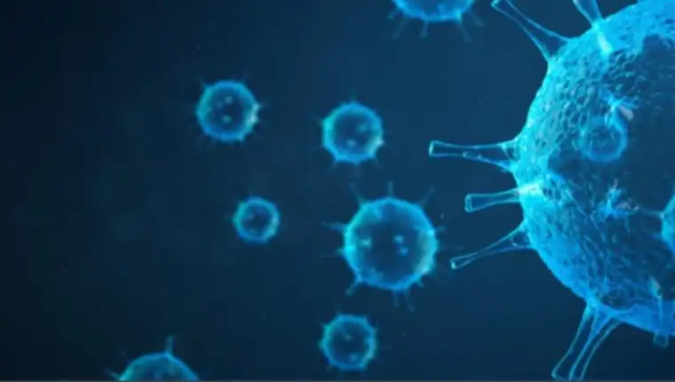 virus 34