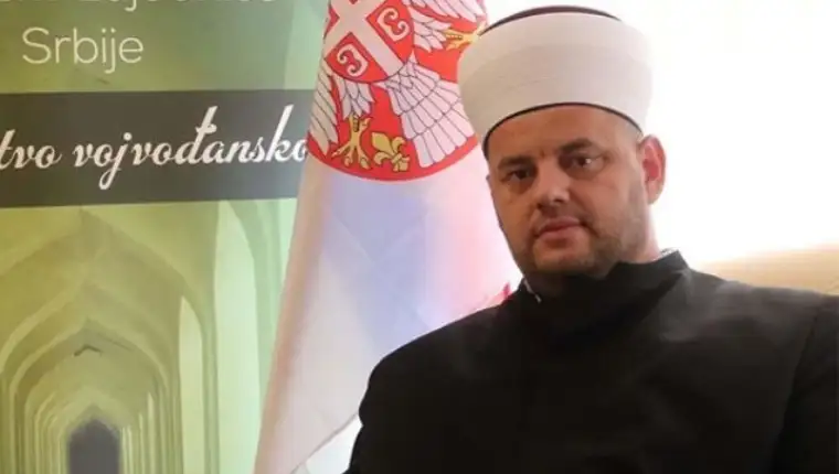 ziljkic vojvodina 1
