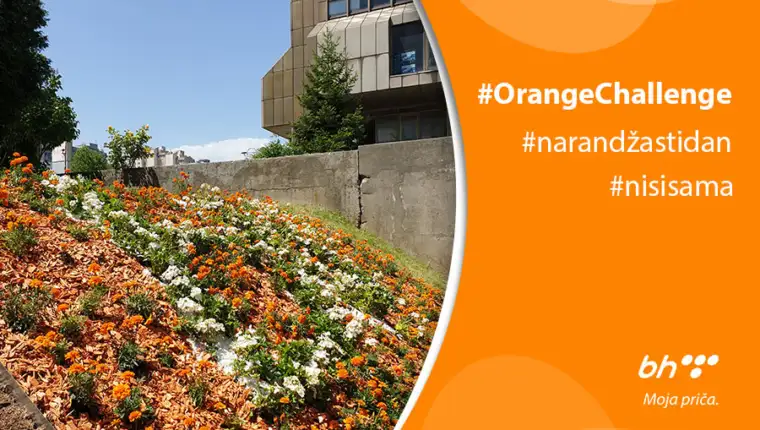 orange dan 900x600