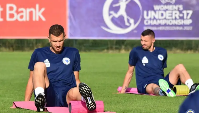 dzeko reprezentacija