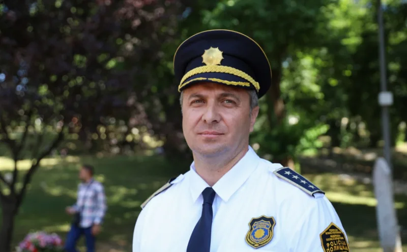 nermin sehovic dd