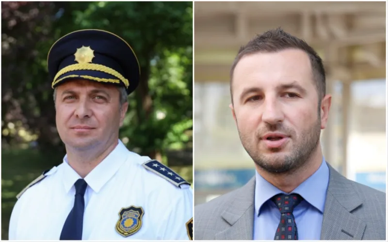 sehovic efendic