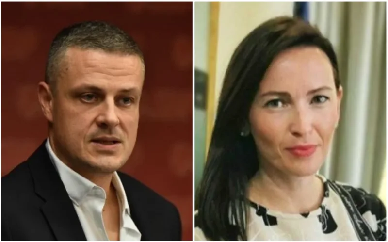 vojin ambasadorica